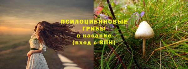 мяу мяу мука Абдулино